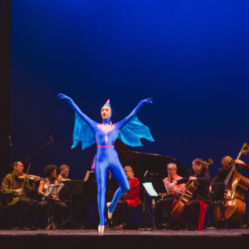 FC20 Ballet Fish GREAT FC20 Ballet Fish GREAT