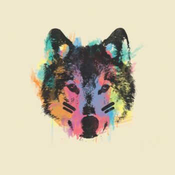 PETER AND THE WOLF | WCMS S21 The Wolf